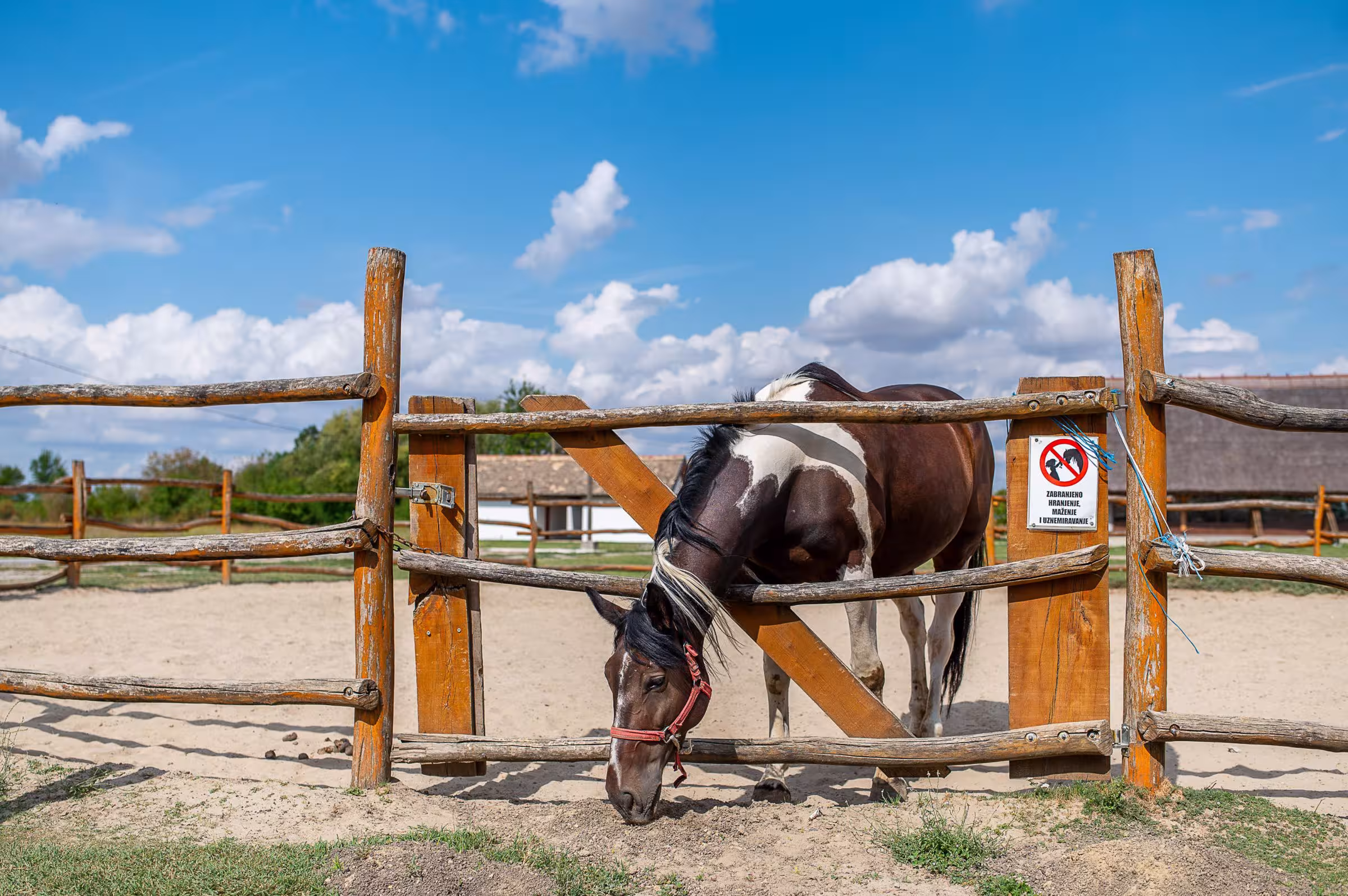 150+ Caption Bucin Singkat Bikin Baper & Romantis untuk Kamu di 2025 2 150 Caption Bucin Singkat Bikin Baper Romantis untuk Kamu di 2025