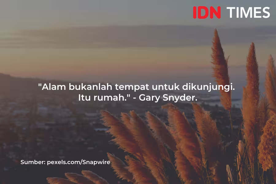 225+ Caption Alam Aesthetic Terbaik Bikin Postinganmu Makin Memukau 2025 6 225 Caption Alam Aesthetic Terbaik Bikin Postinganmu Makin Memukau 2025