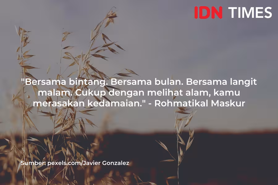 225+ Caption Alam Aesthetic Terbaik Bikin Postinganmu Makin Memukau 2025 4 225 Caption Alam Aesthetic Terbaik Bikin Postinganmu Makin Memukau 2025