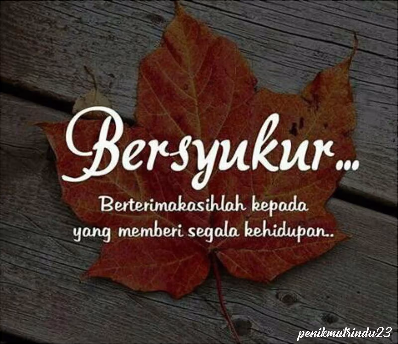 150+ Caption Bersyukur Singkat: Bikin Hati Tenang & Feed Makin Positif di 2025! 3 150 Caption Bersyukur Singkat Bikin Hati Tenang Feed Makin Positif di 2025