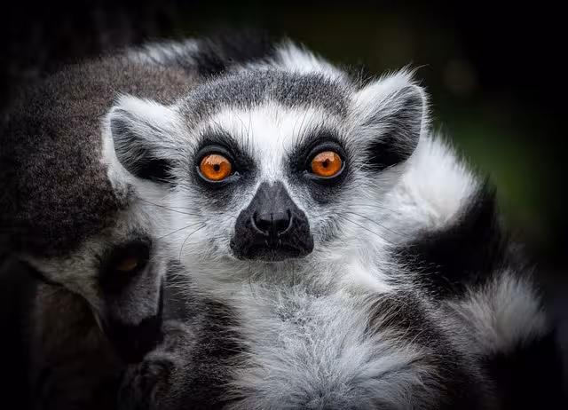 100 KataKata Arkais Paling Estetik  Maknawi untuk Caption IG TikTok WA 2025