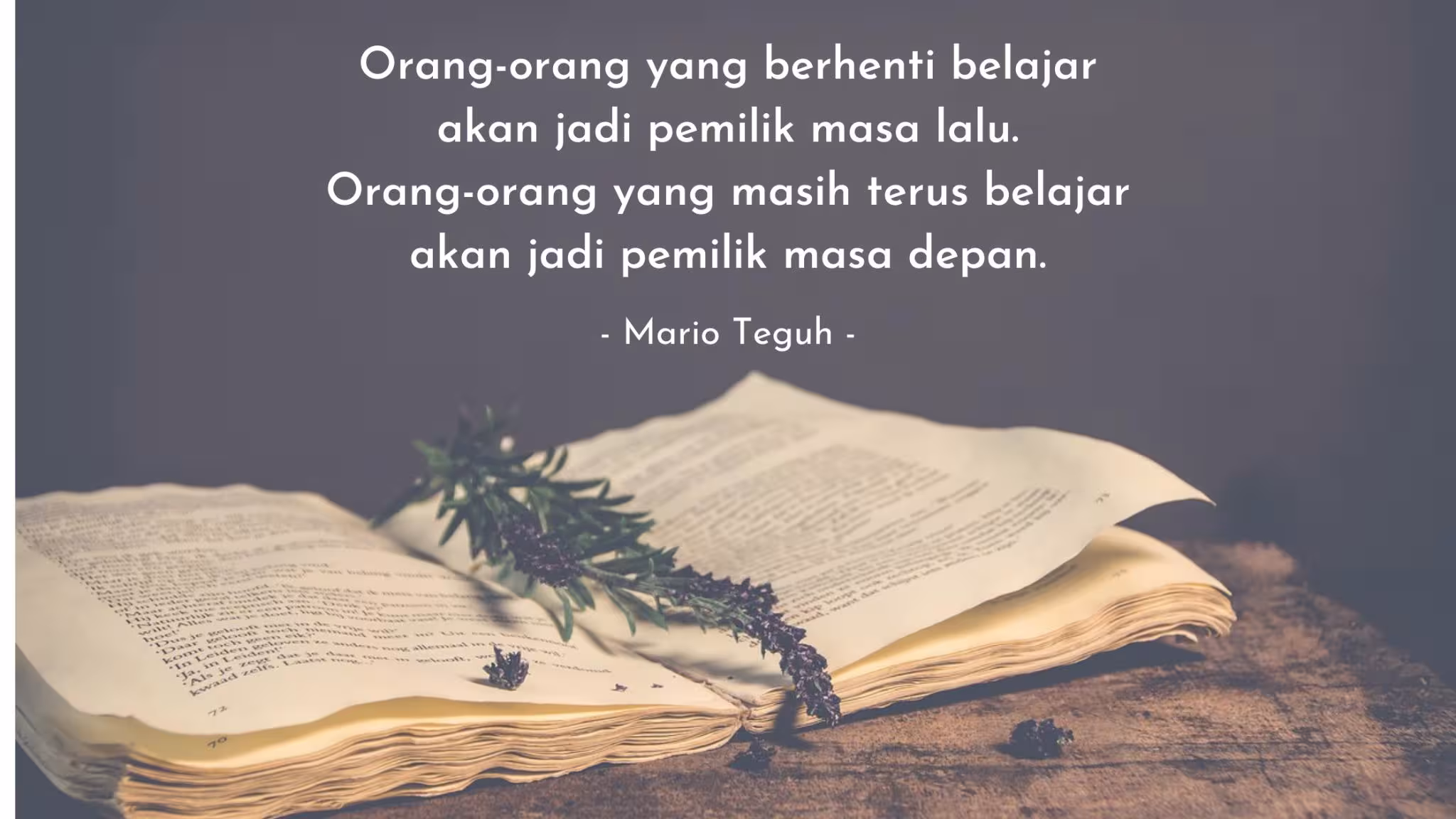 250+ Kata-Kata Bijak Kehidupan Penuh Inspirasi & Motivasi Terbaru 2025 2 250 KataKata Bijak Kehidupan Penuh Inspirasi Motivasi Terbaru 2025