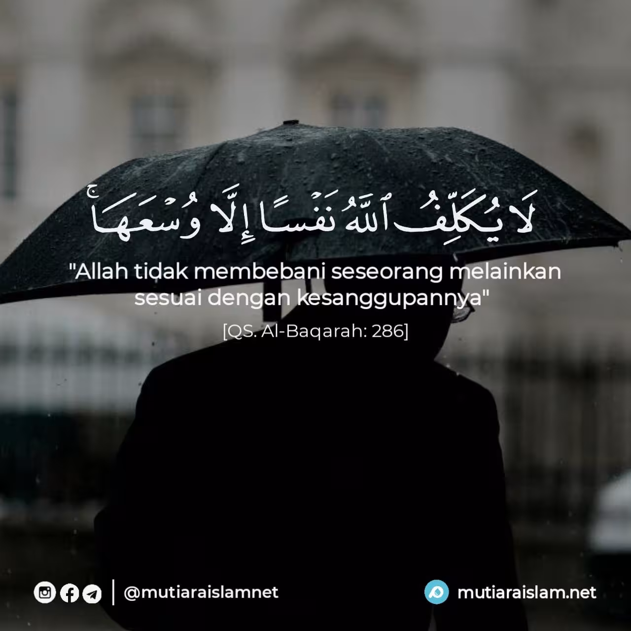 120 Quotes Al Quran yang Menginspirasi dan Menenangkan Hati untuk Kamu di 2025