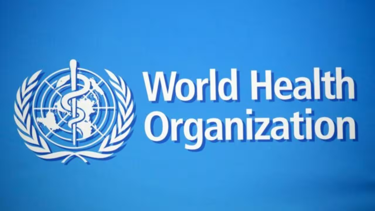 50+ Kata-kata Who Whom Whose Aesthetic & Bikin Caption Keren 2025 2 50 Katakata Who Whom Whose Aesthetic Bikin Caption Keren 2025